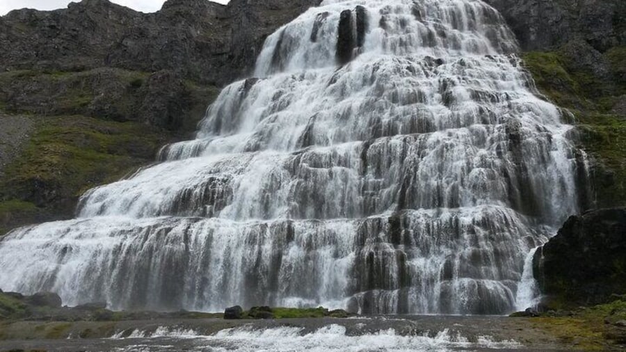Isafjordur Shore Excursions Dynjandi Waterfalls and Farm