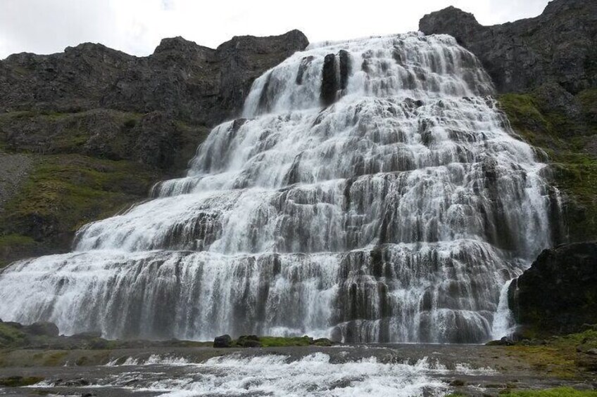 Isafjordur Shore Excursions Dynjandi Waterfalls and Farm 