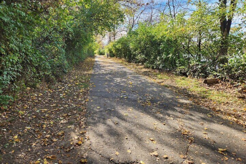 3-Hour Wilmington, NC E-Bike Airlie Gardens Tour