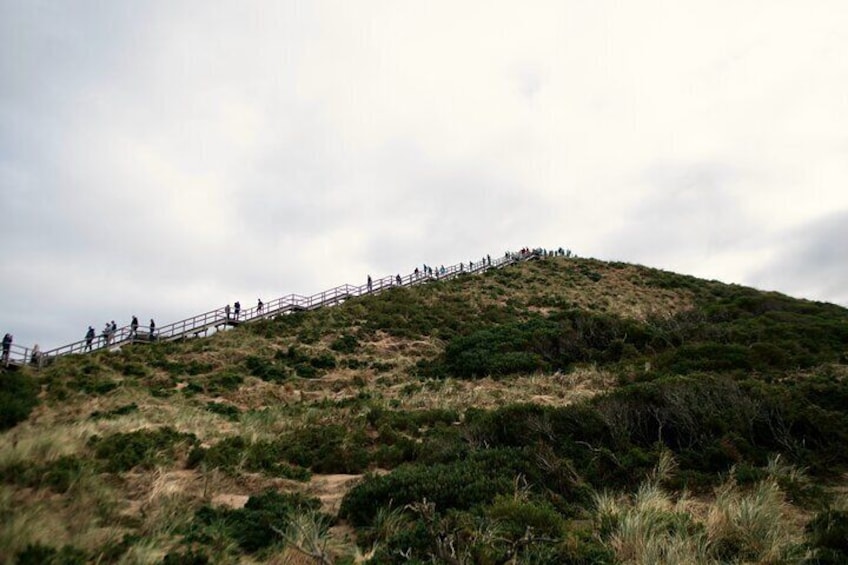 2 Day Tasmanian Guides Tour to Bruny and Mona