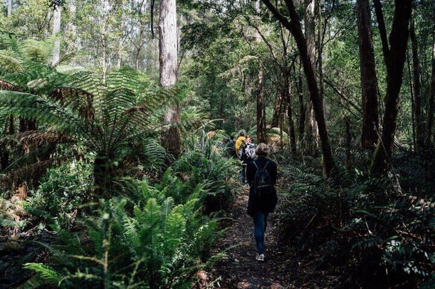 2 Day Tasmanian Guides Tour to Bruny and Mona