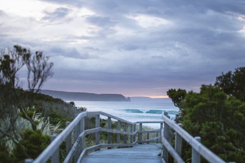 2 Day Tasmanian Guides Tour to Bruny and Mona