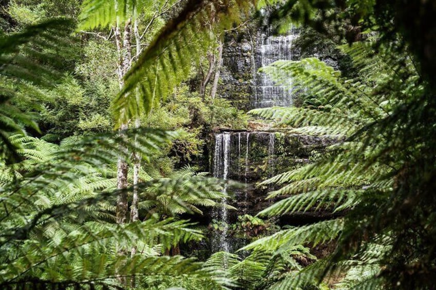 2 Day Tasmanian Guides Tour to Bruny and Mona