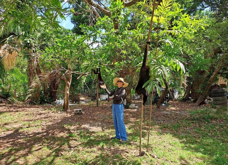 Picture 4 for Activity Howler Monkey Sanctuary Tour from Belize City