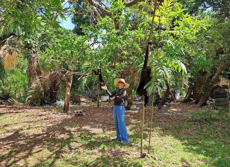 Picture 4 for Activity Howler Monkey Sanctuary Tour from Belize City