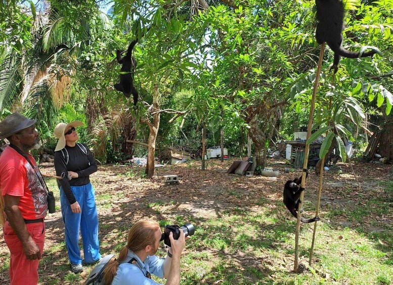 Howler Monkey Sanctuary Tour from Belize City