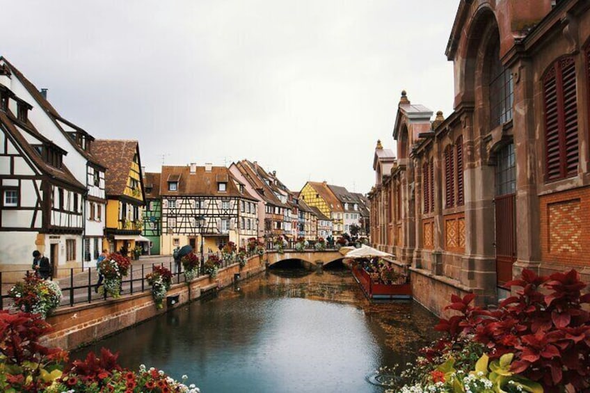 Colmar Christmas Charm 3 Hour Festive Walking Tour