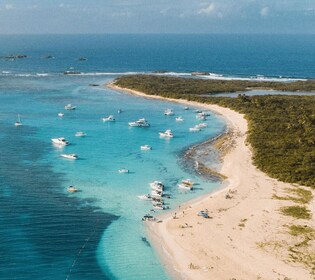 Fajardo: Icacos Island Trip with Snorkel, Lunch & Open Bar