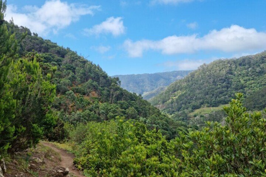 Madeira Porto da Cruz to Machico Self Hiking Tour with Transfer