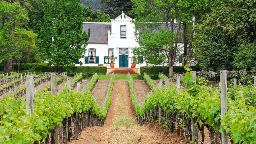 Uncork the Cape : Stellenboch Half Day Wine Tour