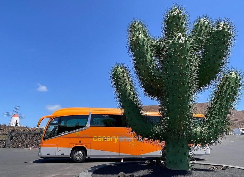 Lanzarote Island: Shuttle service from Arrecife airport