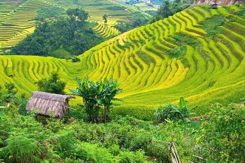 Full Day Trip in Mai Chau with Guide