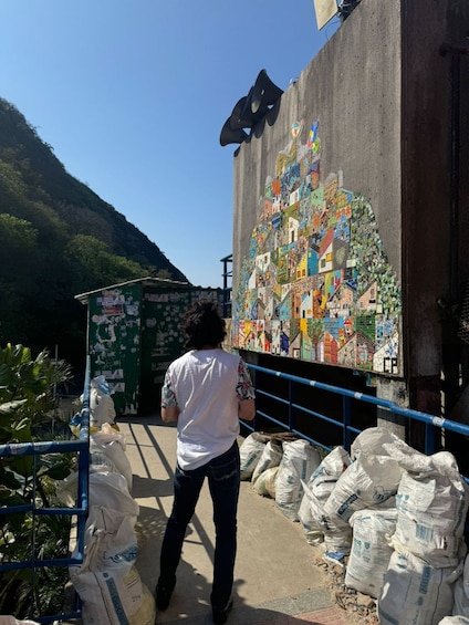 Picture 10 for Activity Rio de Janeiro: Favela Santa Marta Top Tour with Local Guide
