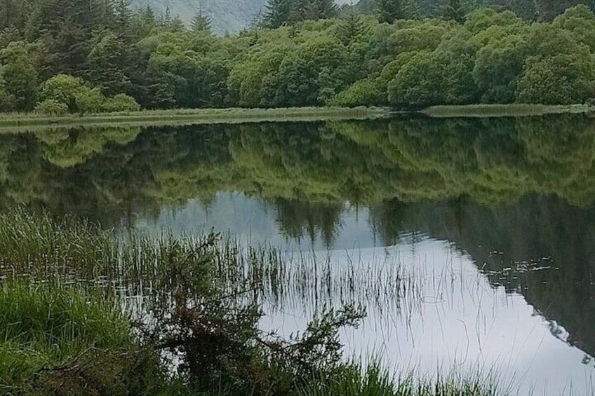 Private Glendalough Monastic Site Tour