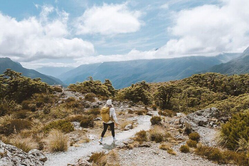 Routeburn Track and Key Summit Guided Hike