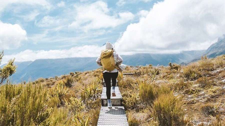Guided day hike on NZ great walk - the Routeburn