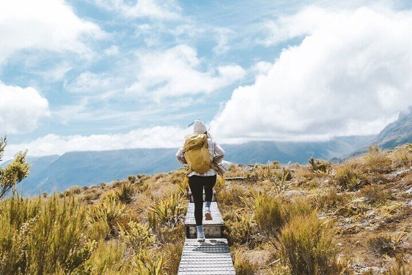 Routeburn Track and Key Summit Guided Hike