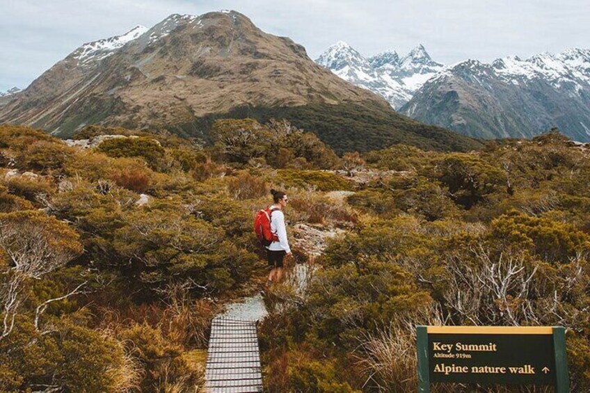 Routeburn Track and Key Summit Guided Hike