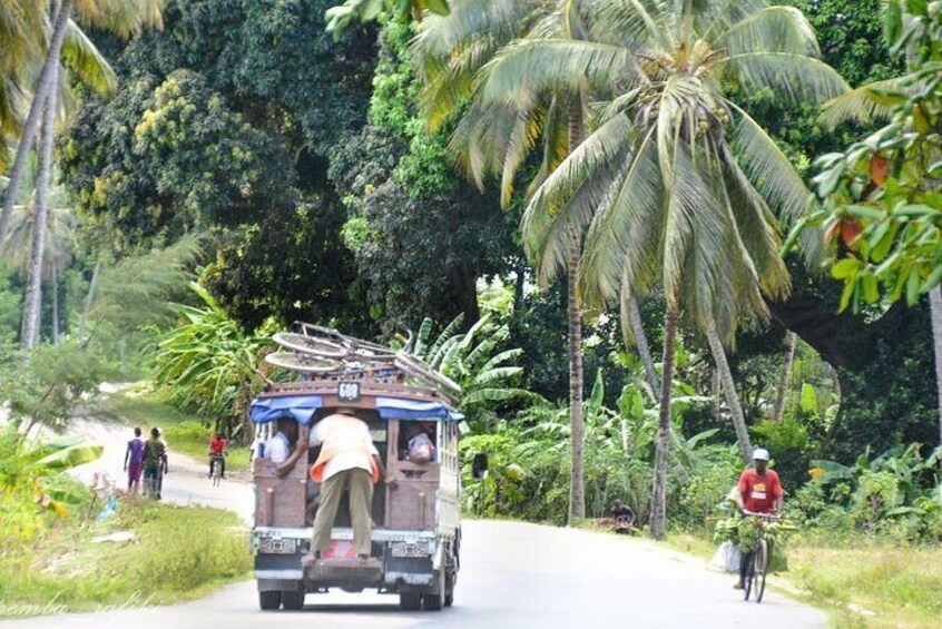 Village tour, Spice tour, Cooking class with Lunch in Zanzibar