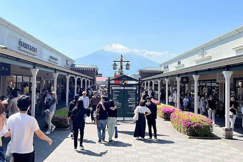 Gotemba Premium Outlets and Konohana no Yu Private Tour