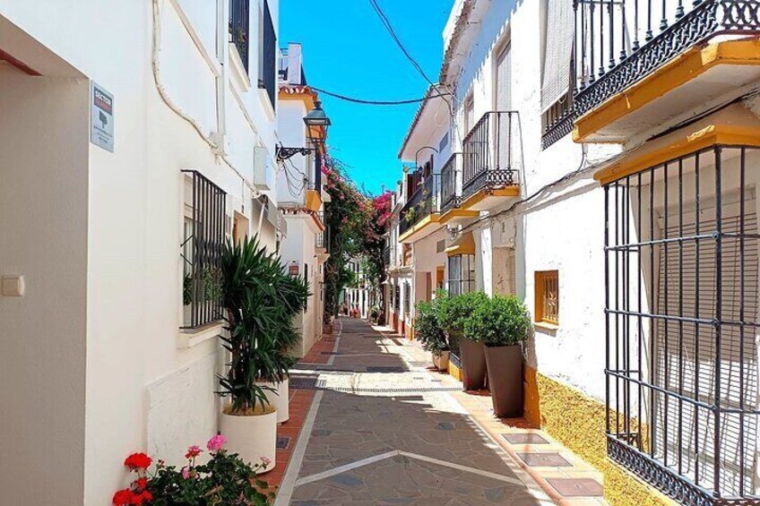 Marbella and Puerto Banus Private Trip from Malaga