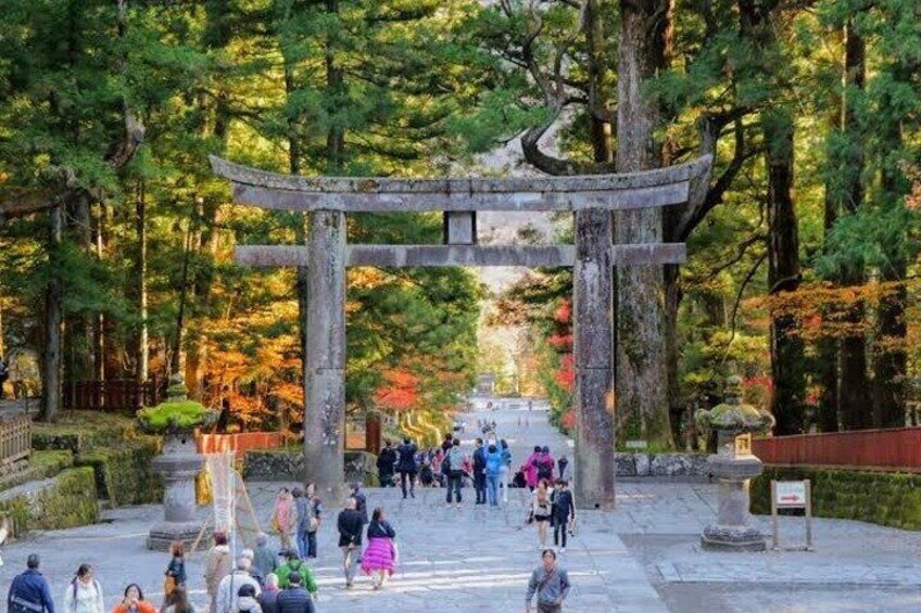 One Day Private Tour Nikko Tochigi by Car with Guide