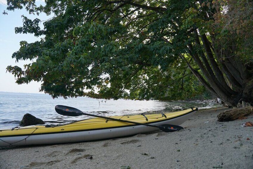 Private Sea Kayak Tour to Blake Island State Park