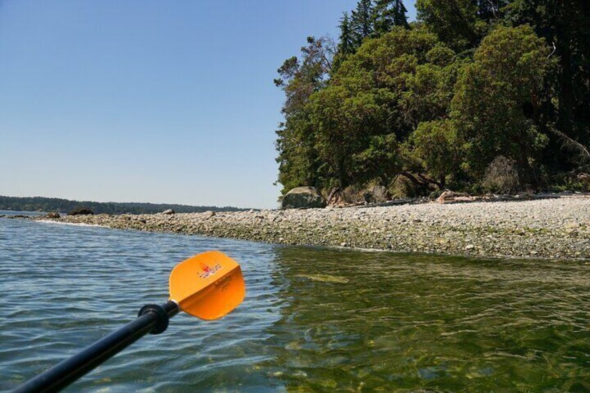 Private Sea Kayak Tour to Blake Island State Park