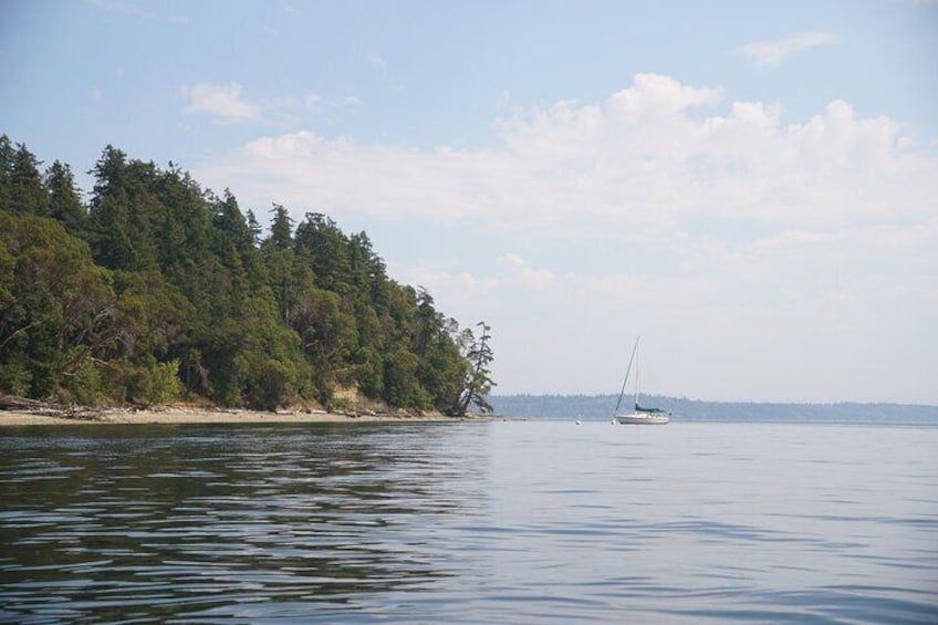 Private Sea Kayak Tour to Blake Island State Park