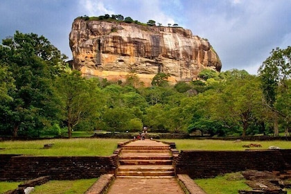 10 Days of Heritage Wildlife and Waves in Sri Lanka
