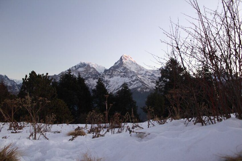 5 days Poon Hill Trek with Half Day Seti River Rafting