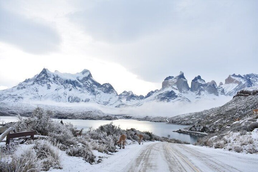 Full Day Active Torres del Paine Private 1 to 4 people