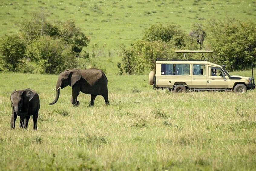 3 Days Solio Ranch and Aberdares Safari on 4x4 Landcruiser Jeep