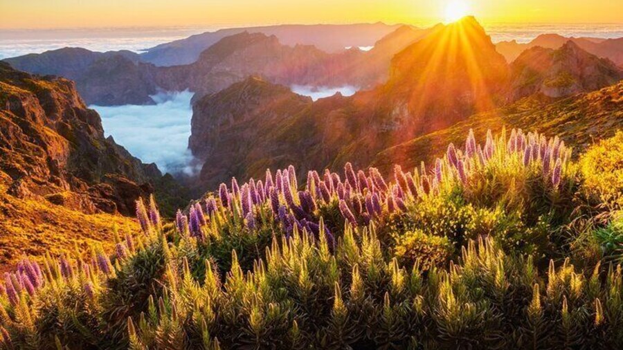 Sunset East Tour with Pico Do Arieiro and 7 stops