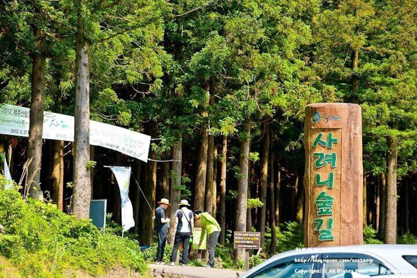 Jeju Eastern Cultural Exploration Day Tour