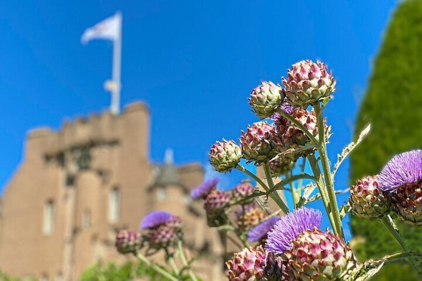 Crathes Castle