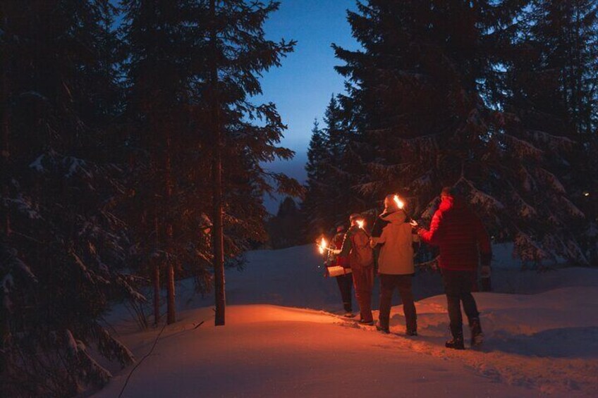 Winter Forest Walk and Campfire by Torchlight in Oslo