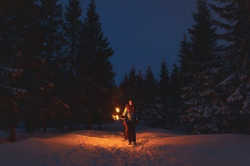 Winter Forest Walk and Campfire by Torchlight in Oslo