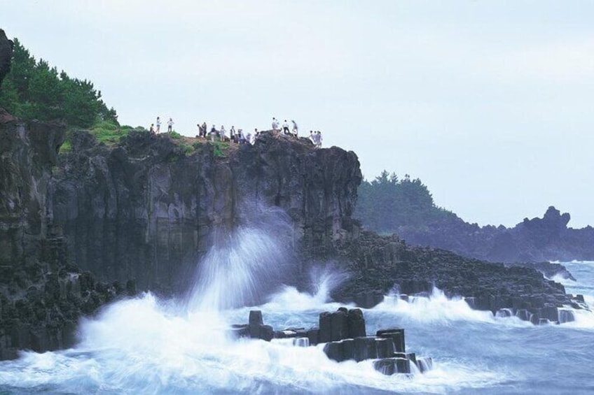 Jeju South and West One Day Guided Tour