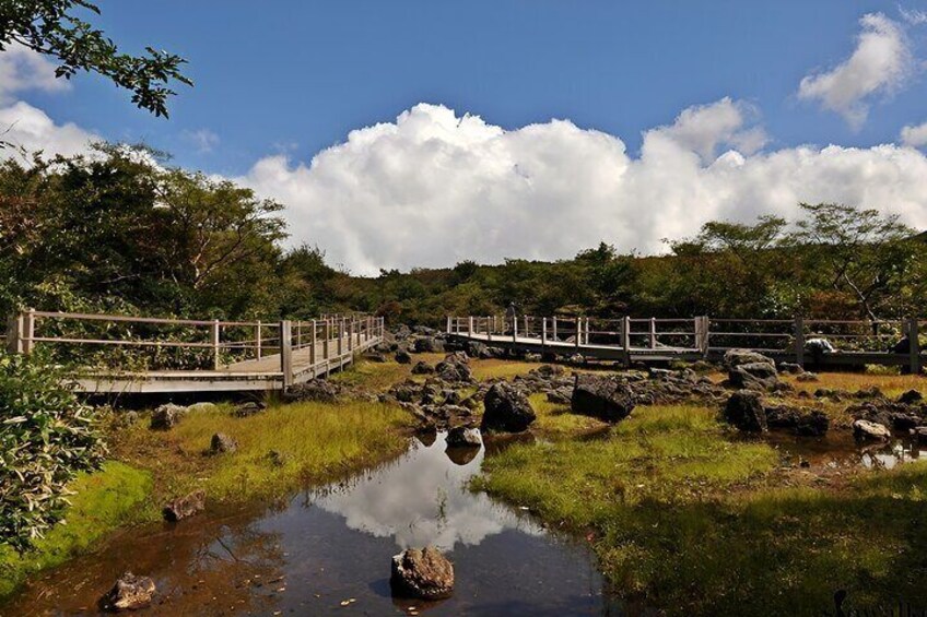 Jeju South and West One Day Guided Tour