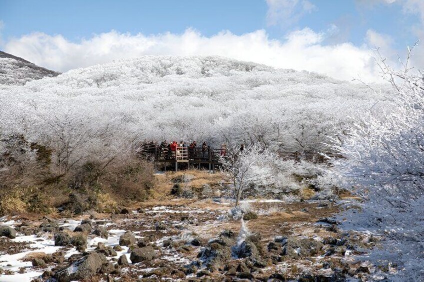 Jeju South and West One Day Guided Tour