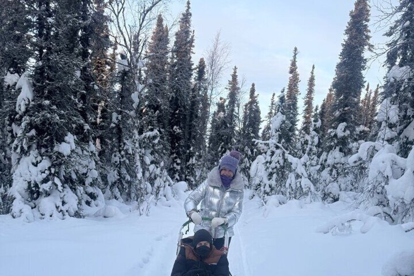 Winter Dog Sledding in Fairbanks