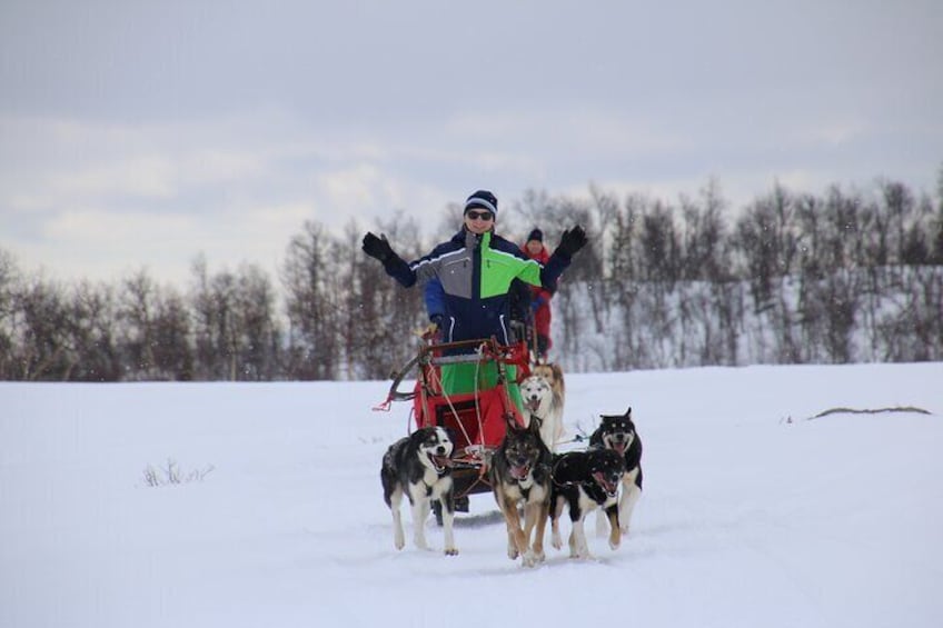 Winter Dog Sledding in Fairbanks