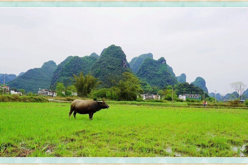 Private 3 Days Tour to Guilin and Yangshuo