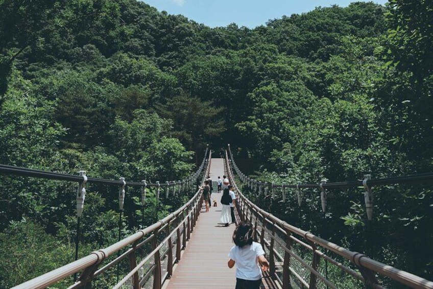 DMZ and Jaein Falls in UNESCO Geopark and Suspension Bridge