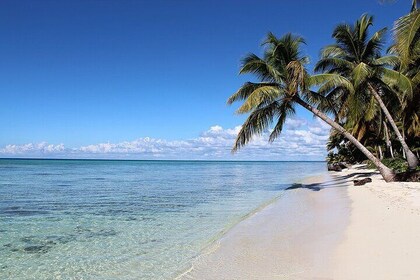 Tour in Saona Island from Santo Domingo