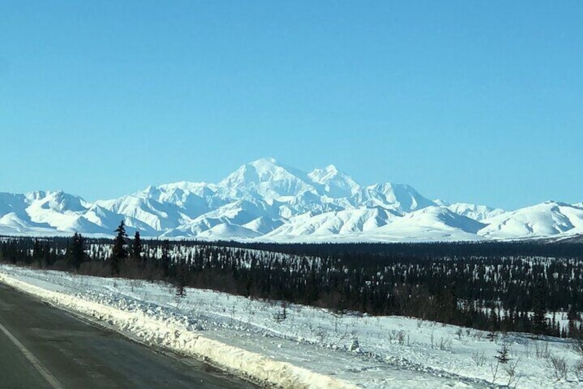 Full Day: Fairbanks to Denali Winter Adventure & SHERP Tour
