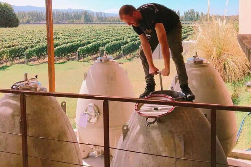 Ultimate Organic Biodinamic and Experimental Wineries Tour