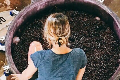 Ultimate Organic Biodinamic and Experimental Wineries Tour