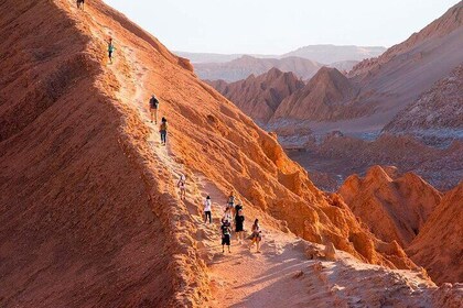 Half-Day Tour to the Valley of the Moon